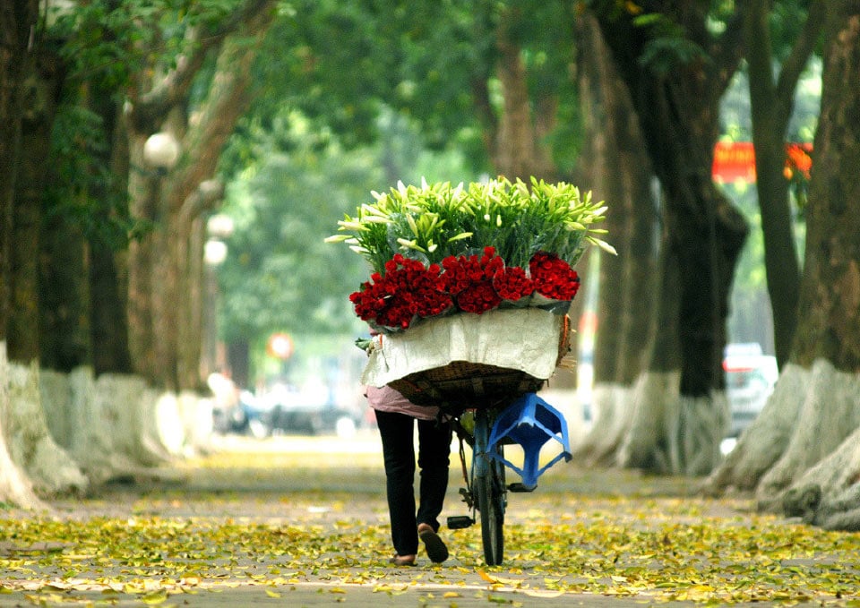 Những khoảnh khắc, hình ảnh đẹp đến nao lòng của mùa thu Hà Nội