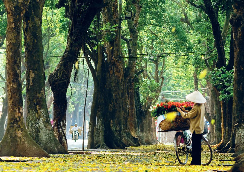 Những khoảnh khắc, hình ảnh đẹp đến nao lòng của mùa thu Hà Nội