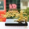 Cành Hoa Mai thế bonsai 3 in 1 mạ vàng