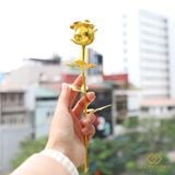 Hoa Hồng mạ vàng 24K thật