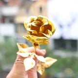 Hoa Hồng mạ vàng 24K thật