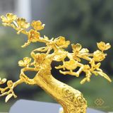 Cây Hoa Đào bonsai mạ vàng