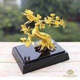 Cây Hoa Đào bonsai mạ vàng