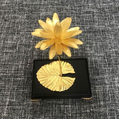 Hoa Súng mạ vàng