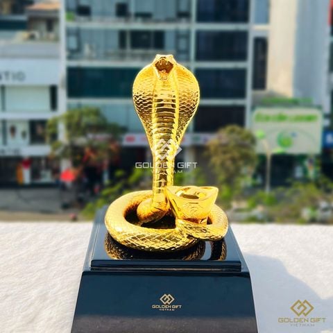 Rắn vàng An nhiên