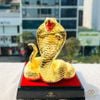 Rắn vàng Nhả ngọc