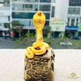 Rắn vàng Uy phong