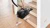 Máy hút bụi Bosch BGS21WX100 2000W màu đen