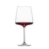 Bộ 2 ly Zwiesel Glas Vivid Senses Fruity anh Delicate 122427 - 535 ml