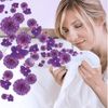 Viên giặt xả khô quần áo Lenor hương hoa nhài 210g