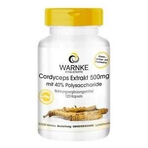 Viên uống đông trùng hạ thảo Warnke Cordyceps Extrakt 500 mg -120 viên