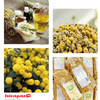 Trà hoa cúc hữu cơ nguyên bông DM Bio Kamilen - 60gr