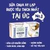 Sữa chua Hy Lạp nguyên chất -Greek Style Natural Yogurt 140g ( vỉ 2 hộp)