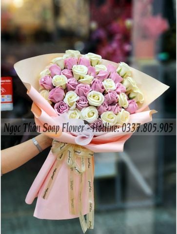 HOA SÁP MÀU HỒNG | HOA SÁP GẦN ĐÂY