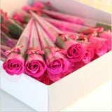 Hoa Hồng Sáp 1 Bông | Hoa Hồng Sáp Bao Nhiêu Tiền 1 Bông