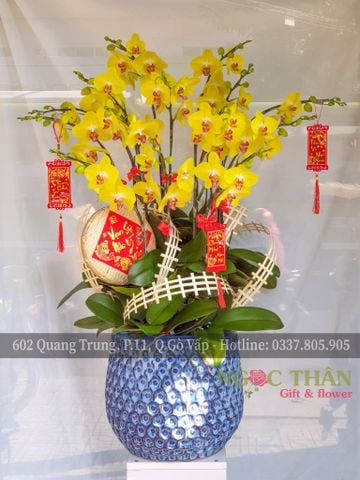 CHẬU LAN HỒ ĐIỆP 12 CÀNH VÀNG