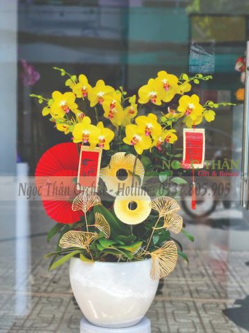 LAN HỒ ĐIỆP TẾT