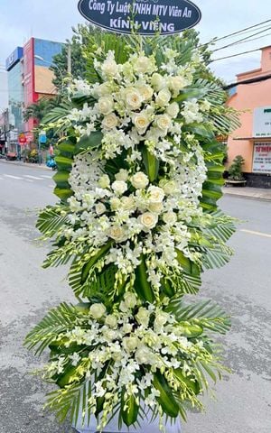 HOA CHIA BUỒN GIÁ RẺ