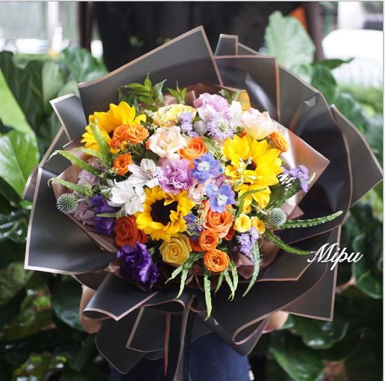 giay-bong-mo-vien-dong-gia-si