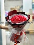 HOA SÁP BÓ TRÒN | HOA SÁP HỒNG
