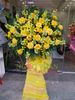 HOA KHAI TRƯƠNG: 002