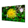 Màn hình LCD 55 inch DS-D2055LBE-G