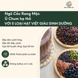  Bột Ngũ Cốc dinh dưỡng Mộc Thanh Trà với 5 loại Hạt lành Rang mộc ủ chum hạ thổ 