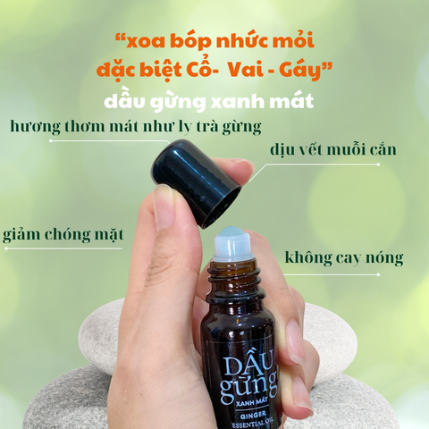  QUÀ TẶNG ẤM THANH TRÀ (TRA ĐẬU ĐEN XANH LÒNG và CAO GỪNG _ DẦU GỪNG XOA BÓP, ẤM CƠ THỂ) 