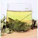  COMBO 3 gói 1G Trà Bạc Hà Cỏ Ngọt dùng thử, thức uống giải nhiệt, the mát, hỗ trợ điều vị, giúp tỉnh táo 
