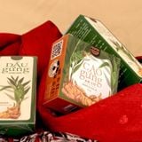  BỘ cộng hưởng Cao gừng - Dầu gừng chai 20ml (nắp nóp) thảo mộc Nuna - Mộc Thanh Trà 