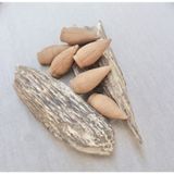  Nụ Trầm Hương Cao Cấp Bảo Văn (Hộp 36 nụ) hương thơm ấm áp ngọt dịu, dùng đốt xông, hỗ trợ thư giản, thanh lọc không khí 