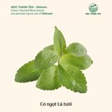  Trà Bạc Hà ủ lạnh - Cold Brew Mint Tea - Bạc hà sấy lạnh vị the mát sảng khoái, giảm căng thẳng, làm sạch khoang miệng 