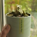  Trà Bạc Hà ủ lạnh - Cold Brew Mint Tea - Bạc hà sấy lạnh vị the mát sảng khoái, giảm căng thẳng, làm sạch khoang miệng 