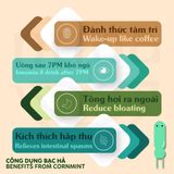  Trà Bạc Hà ủ lạnh - Cold Brew Mint Tea - Bạc hà sấy lạnh vị the mát sảng khoái, giảm căng thẳng, làm sạch khoang miệng 