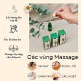  Dầu gừng Xanh mát Nuna 20ml (chai nắp bóp) -Mộc Thanh Trà- dầu gừng lưu thông khí huyết,tăng vận chuyển máu, thư giãn cơ 