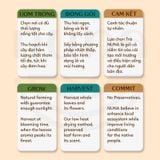  Trà Cỏ Ngọt Stevia Sấy Lạnh nguyên lá Mộc Thanh Trà hộp 20G - đường không calo, dùng nấu ăn, pha thức uống vị ngọt thanh 