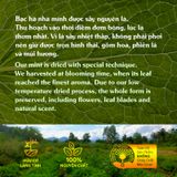  Trà Bạc Hà sấy khô Mộc Thanh Trà hộp 20G - vị the mát sảng khoái, giảm căng thẳng, hỗ trợ làm sạch khoang miệng 