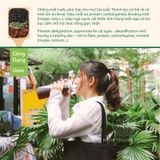  COMBO GIÁ TỐT [480] 2 Túi 1kg Đậu Rang Mộc - Hà thủ ô (chia sẳn túi lọc 50G) Mộc Thanh Trà, uống giải nhiệt, thanh lọc 