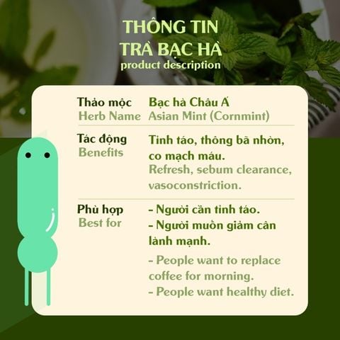  Trà Bạc Hà - Cỏ Ngọt Mộc Thanh Trà hộp 20G, vị ngọt dịu, the mát, hỗ trợ giảm căng thẳng, hiệu quả kháng khuẩn cao 