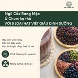  Bột ngũ cốc dinh dưỡng 5 loại hạt Mộc Thanh Trà Túi 600G - Bổ sung dinh dưỡng và chất xơ cần thiết, giúp lợi sữa 