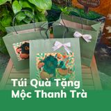  Túi Giấy Quà Tặng Mộc Thanh Trà, Túi giấy màu xanh sang trọng - chất giấy dày dặn, thân thiện môi trường, chịu lực 2-3kg 
