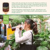  THÙNG 5KG GIÁ TỐT Đậu đen xanh lòng - cỏ ngọt - hà thủ ô Mộc Thanh trà (chia túi lọc 50G) - 10 túi 500G Trà giải nhiệt 