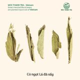  COMBO 2 Túi 1kg Đậu Đen Xanh lòng rang mộc chuẩn vị Mộc Thanh Trà, TẶNG Hộp Cỏ Ngọt 20G, uống thanh lọc giảm nóng trong 