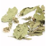  Trà Bạc Hà - Cỏ Ngọt sấy khô Mộc Thanh Trà Lon thiếc 25G, vị ngọt dịu, the mát, hỗ trợ giảm căng thẳng, làm sạch miệng 