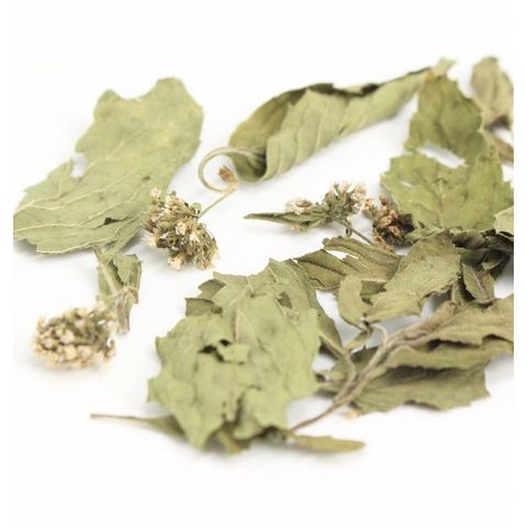  Trà Bạc Hà - Cỏ Ngọt sấy khô Mộc Thanh Trà Lon thiếc 25G, vị ngọt dịu, the mát, hỗ trợ giảm căng thẳng, làm sạch miệng 