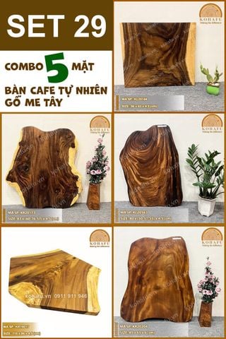 COMBO 5 MẶT BÀN CAFE GỖ ME TÂY KIỂU DÁNG TỰ NHIÊN - SET 29