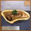 BÀN TRÒN GỖ ME TÂY KR20036