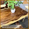 Long Saman Table KL20572