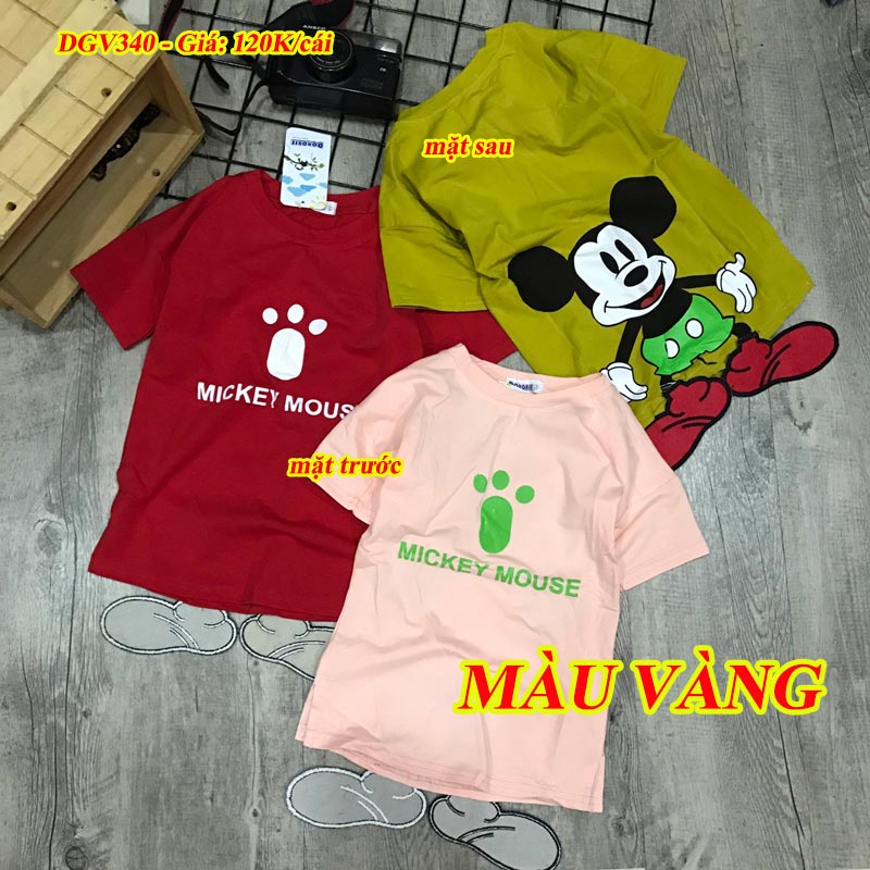 ĐẦM SUÔNG MICKEY 3D