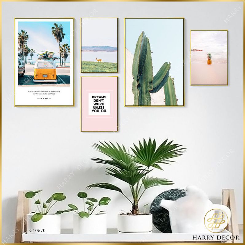  Bộ 5 Tranh Xương Rồng Và Qủa Dứa Bờ Biển C10670 